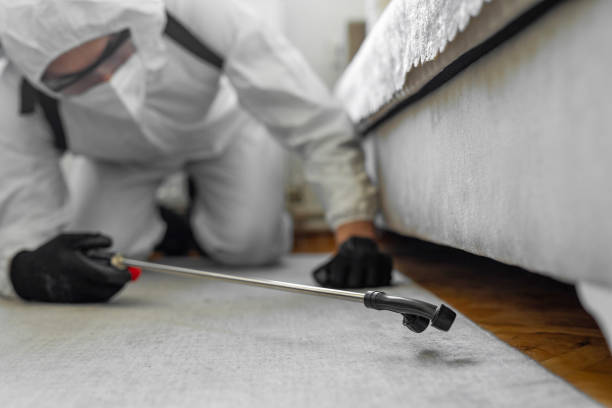 Professional Termite Control technician working in Porter, IN