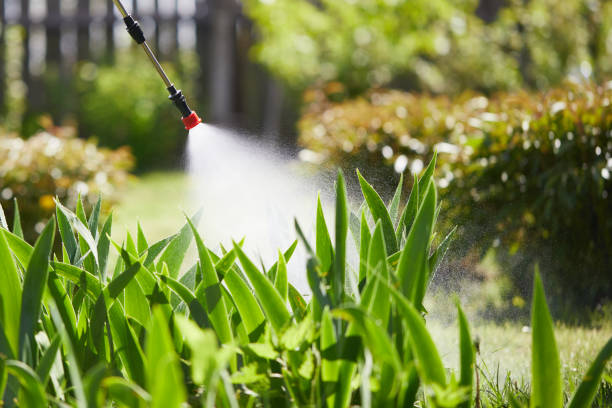 24/7 Emergency Termite Control experts in Porter, IN